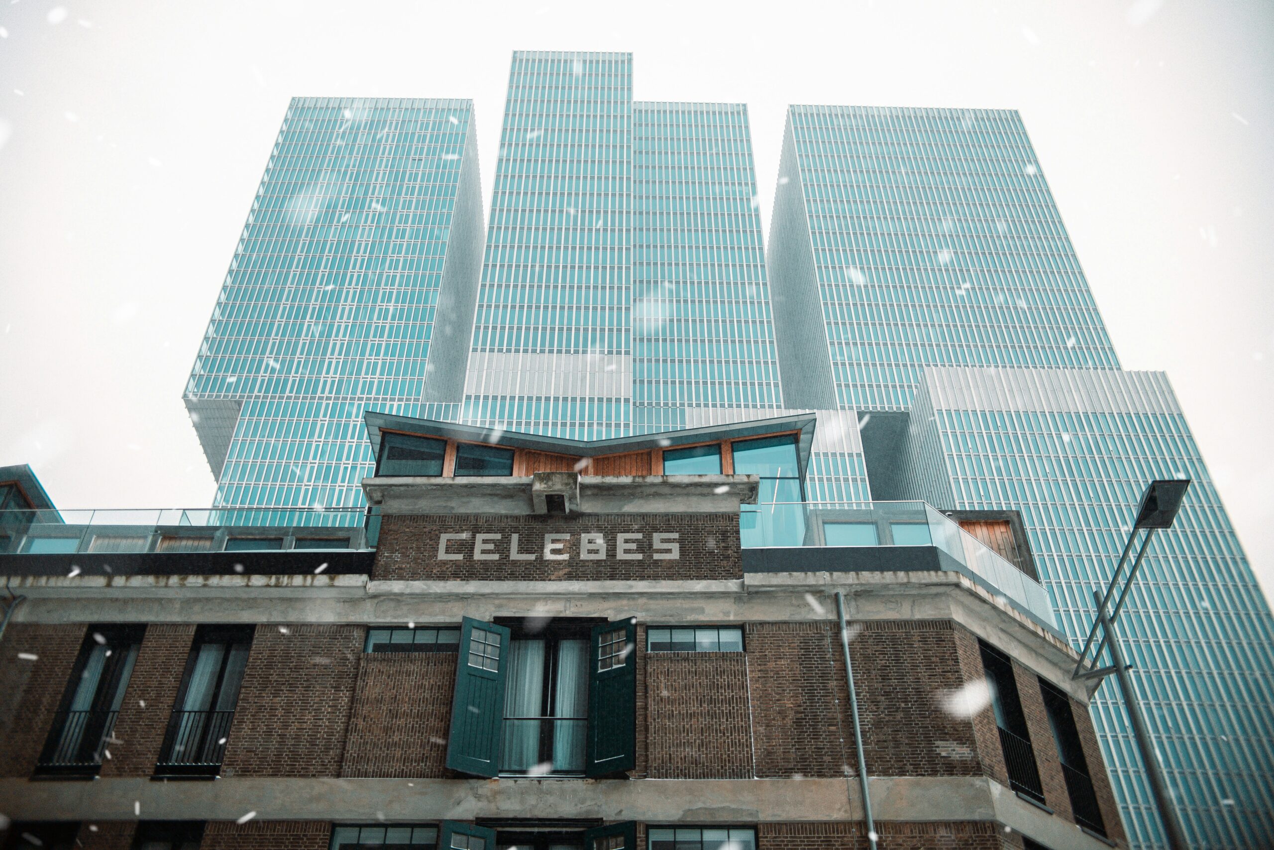 Celsius Lawsuit Explained: What Consumers, Investors, and Businesses Need to Know